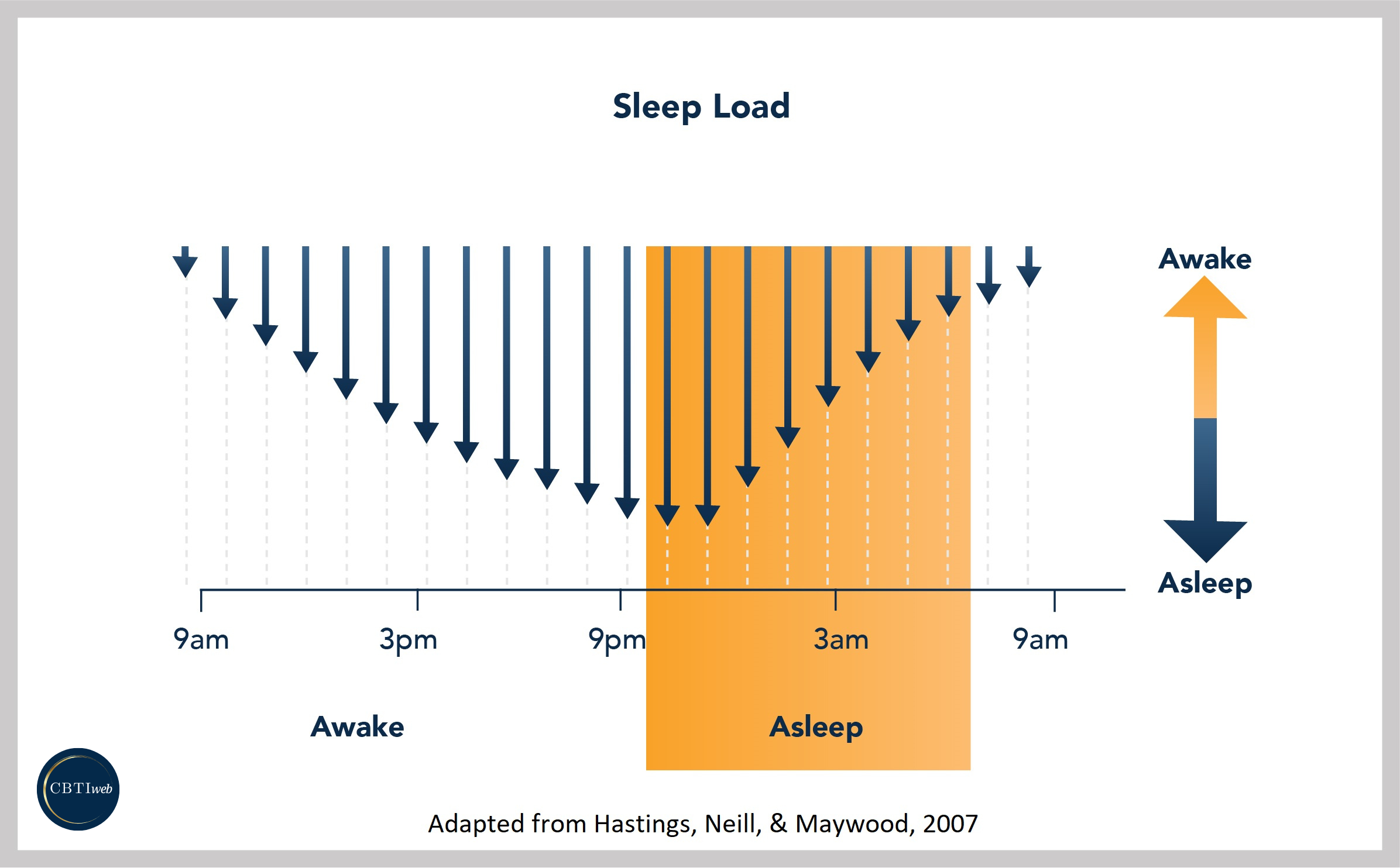 Basics of Sleep - Sleep Load/Process S